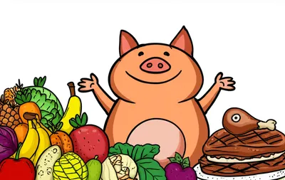 Illustration omnivorous