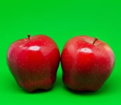 Illustration geminate