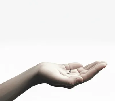 Illustration minimising - Image 1