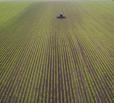 Illustration plantation - Image 1