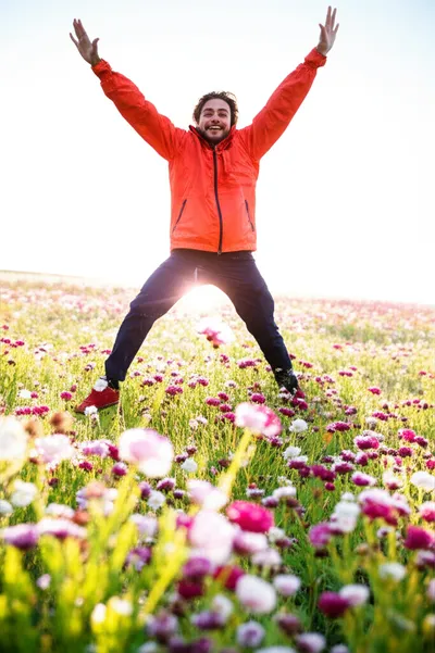 Illustration springers