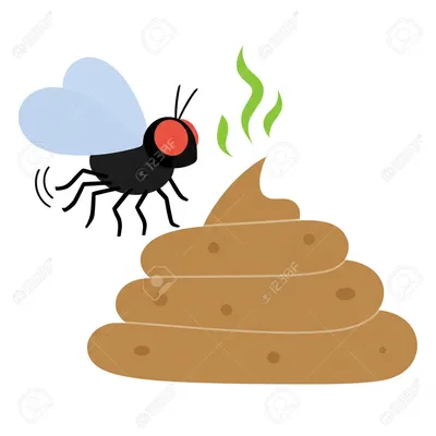 Illustration fecal - Image 1