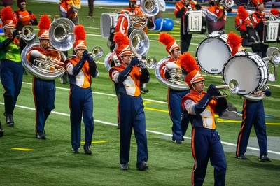 Illustration bands - Image 1