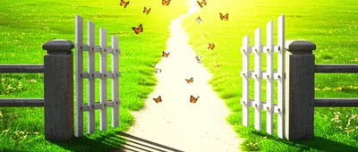 Illustration allowed - Image 1