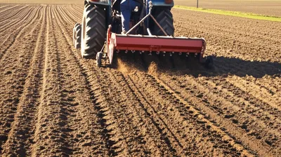 Illustration drills - Image 1