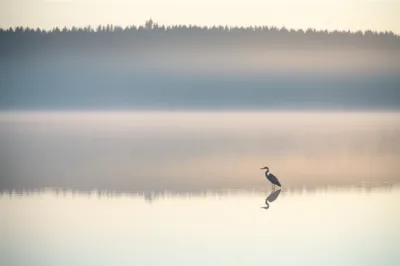 Illustration stills - Image 1