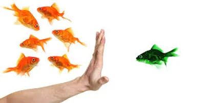 Illustration except - Image 2