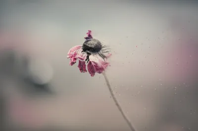 Illustration expired - Image 1