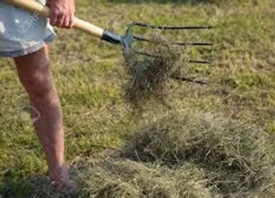 Illustration pitchfork - Image 2