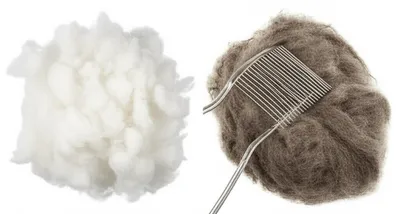 Illustration combed - Image 1