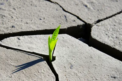 Illustration lifting - Image 1