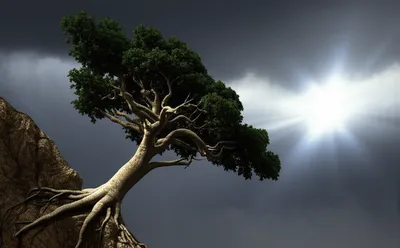 Illustration abided - Image 1