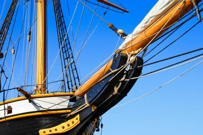 Illustration bees - Image 1