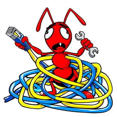 Illustration bug - Image 1