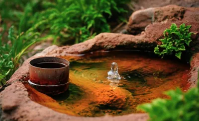 Illustration chalybeate - Image 1