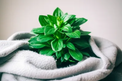 Illustration suppressants