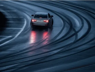 Illustration fishtailed - Image 1