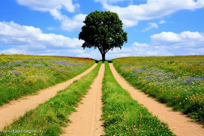 Illustration concurs - Image 1