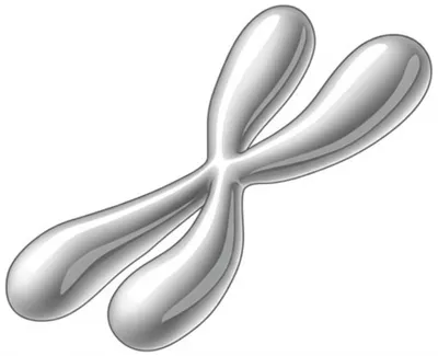 Illustration pouffe - Image 1