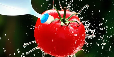 Illustration splash - Image 1