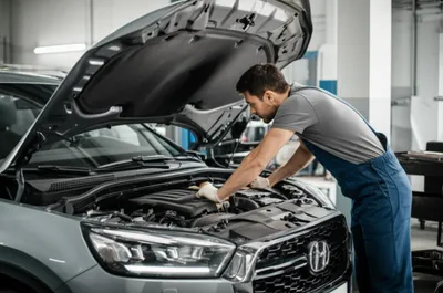 Illustration hood - Image 1