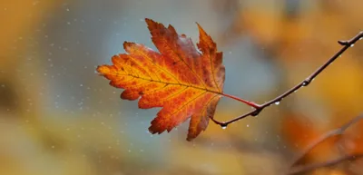 Illustration quavers - Image 1