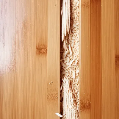 Illustration roughing - Image 1