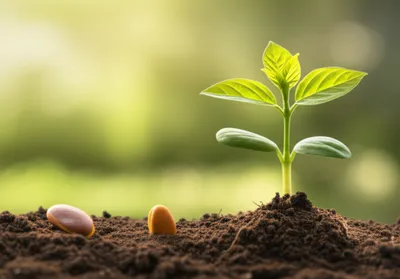 Illustration decade - Image 1