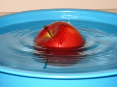 Illustration bobbing - Image 1