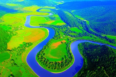 Illustration serpentine - Image 1