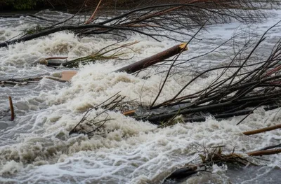 Illustration rushed - Image 1