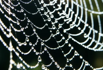 Illustration glistening