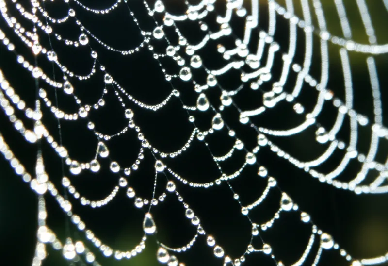 glistening background