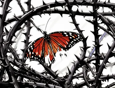 Illustration cages - Image 1