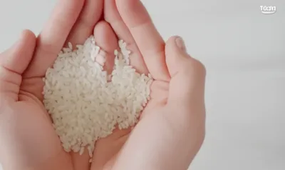 Illustration husks - Image 1