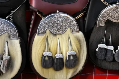 Illustration cantle - Image 1