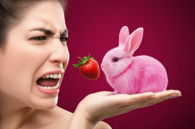 Illustration piffle - Image 1