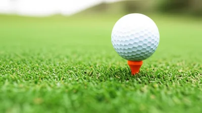 Illustration teed - Image 1