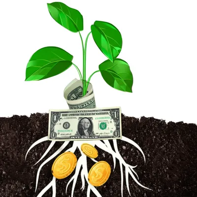 Illustration accrue - Image 1