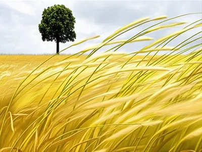 Illustration renders - Image 1