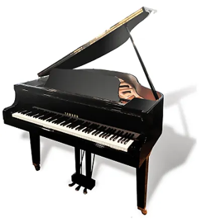 Illustration grand - Image 2