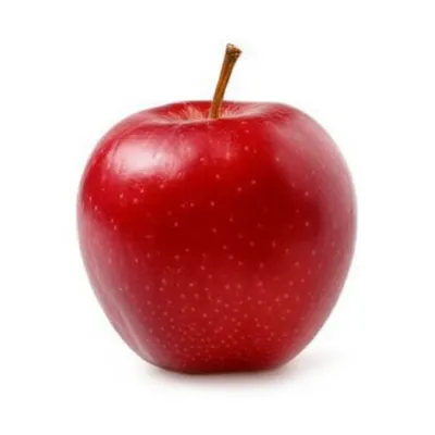 Illustration typical - Image 1