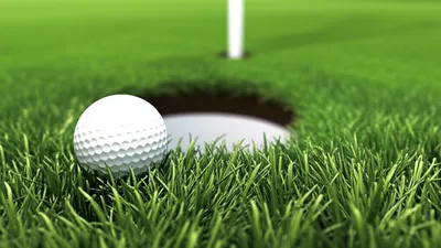 Illustration short - Image 1