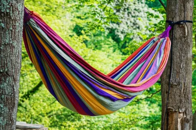 Illustration hammock - Image 1