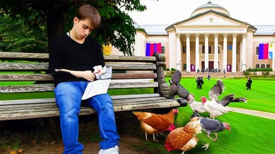 Illustration plucks - Image 1