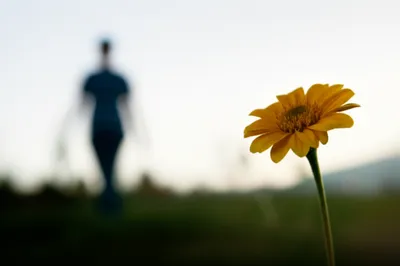 Illustration background - Image 1