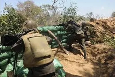 Illustration line - Image 2