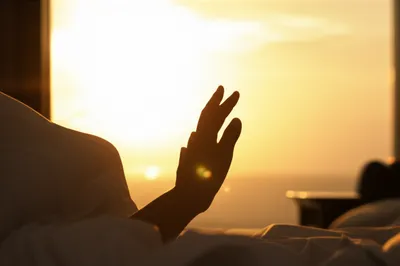 Illustration levee - Image 1