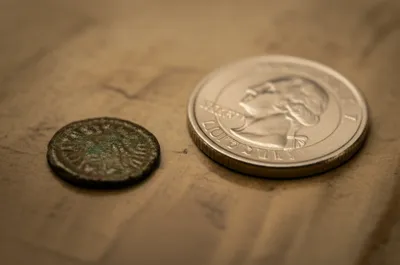 Illustration mites - Image 1