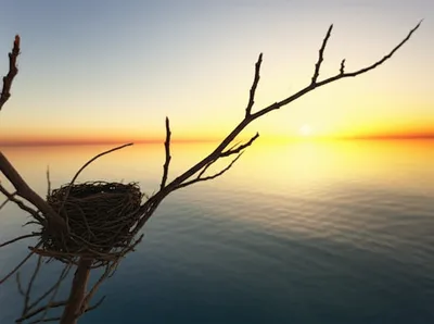 Illustration break - Image 1